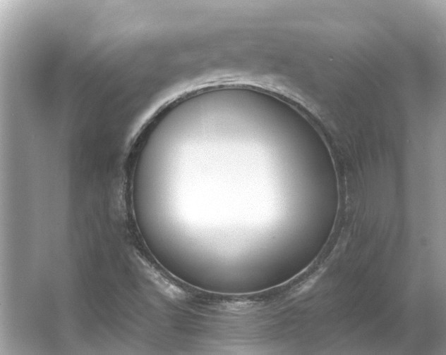 X0000063531502200601231528