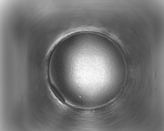 X0000063531504200601231528