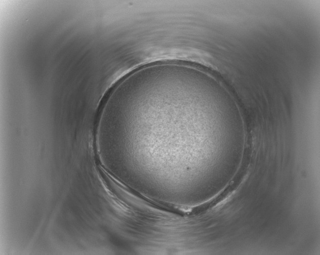 X0000063531505200601231528