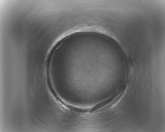 X0000063531506200601231528