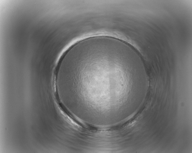 X0000063531510200601231528