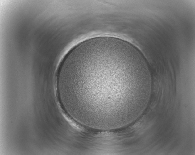 X0000063531511200601231528