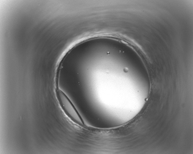 X0000063531512200601231528