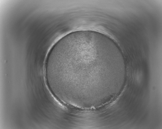 X0000063531517200601231528