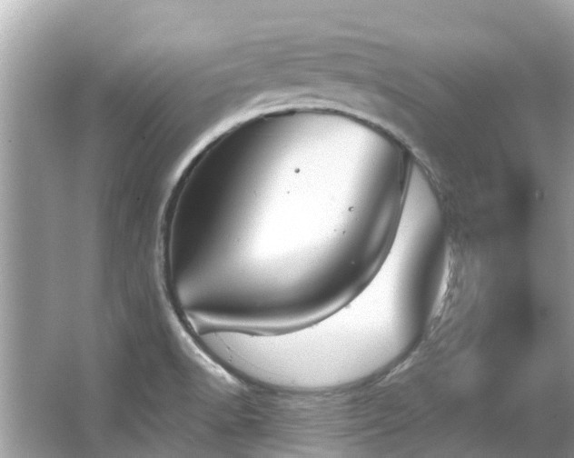 X0000063531518200601231528