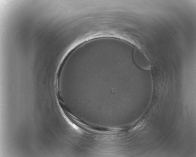 X0000063531519200601231528