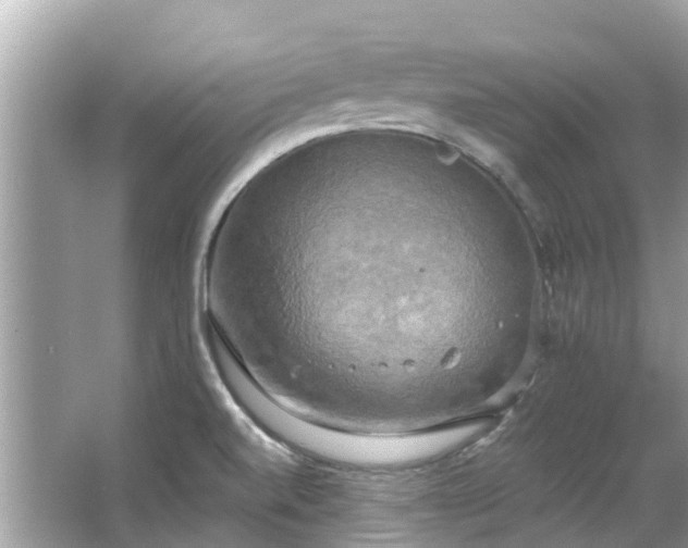 X0000063531520200601231528