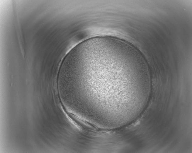 X0000063531521200601231528