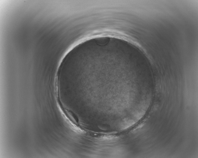 X0000063531522200601231528