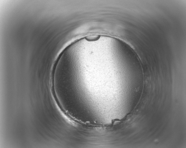 X0000063531523200601231528