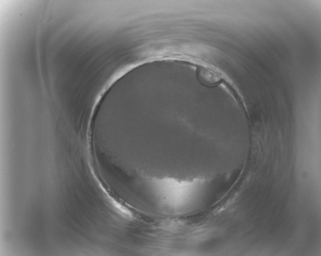 X0000063531525200601231528