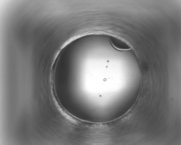 X0000063531526200601231528