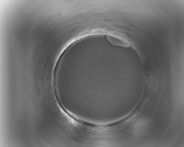 X0000063531527200601231528