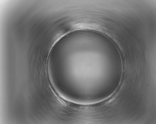 X0000063531529200601231528