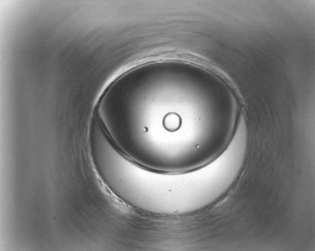 X0000063531530200601231528