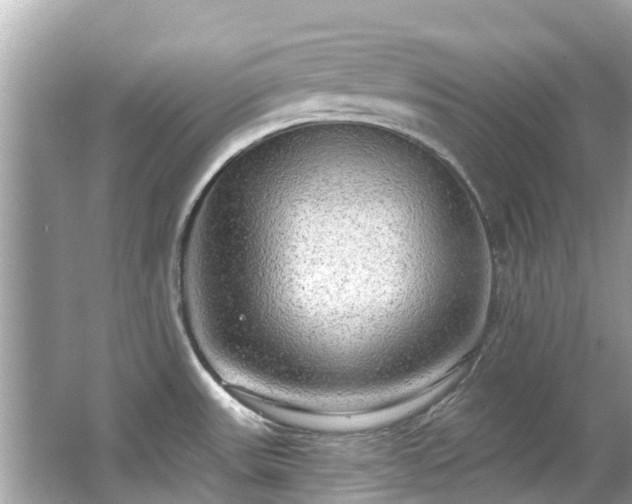 X0000063531531200601231528