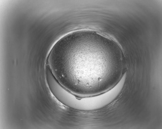 X0000063531532200601231528