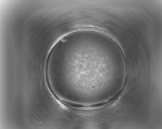 X0000063531533200601231528