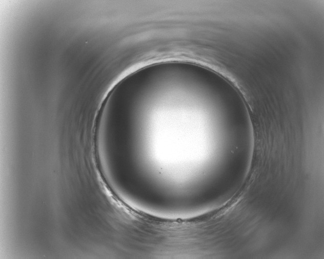 X0000063531534200601231528