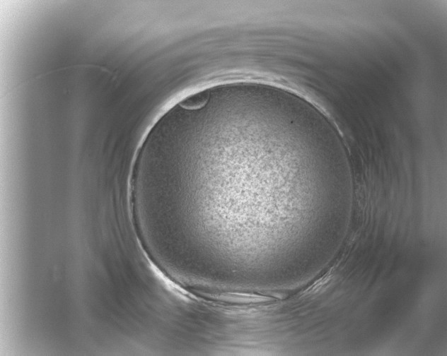 X0000063531535200601231528