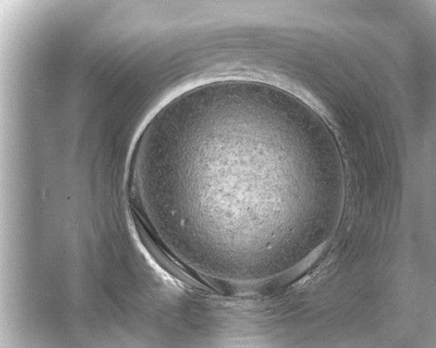 X0000063531536200601231528