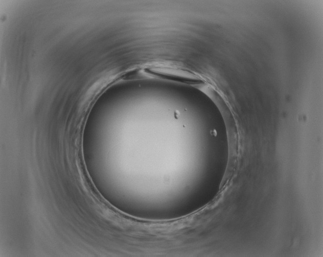 X0000063530001200601271913