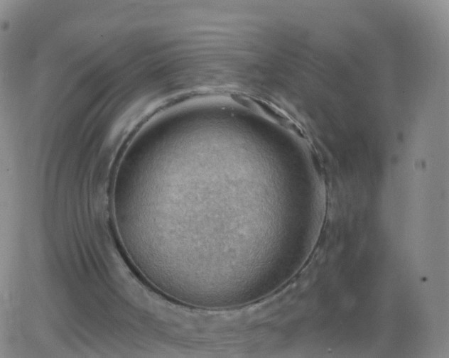 X0000063530002200601271913