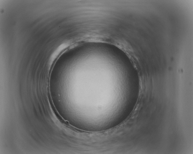 X0000063530003200601271913