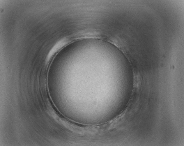 X0000063530004200601271913