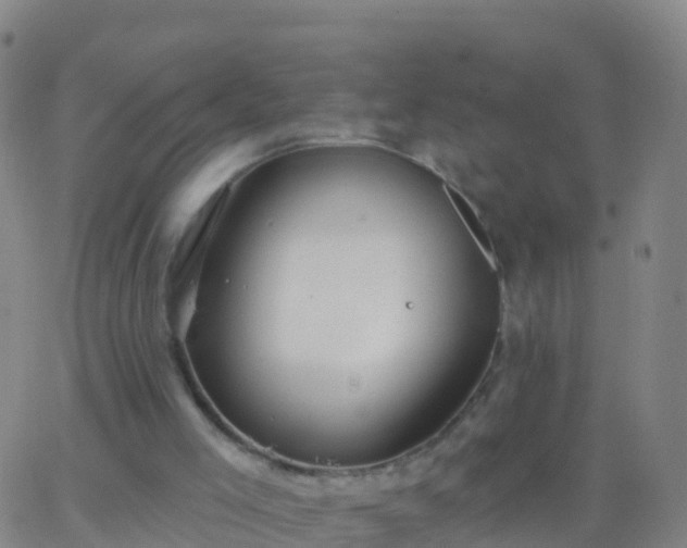 X0000063530005200601271913