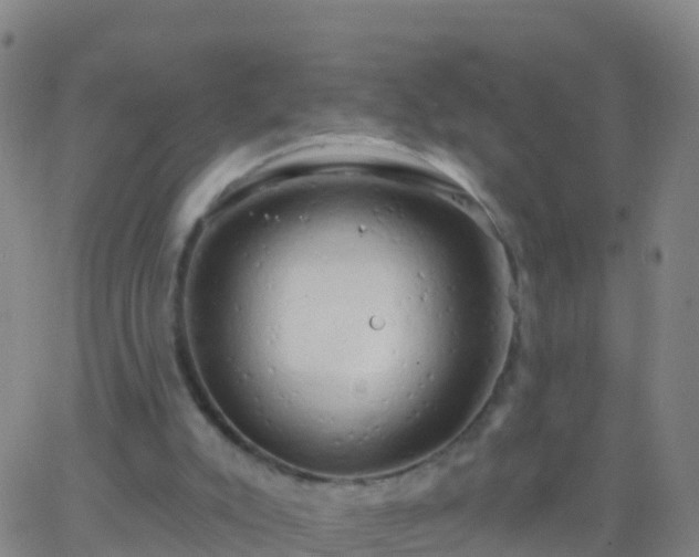 X0000063530007200601271912