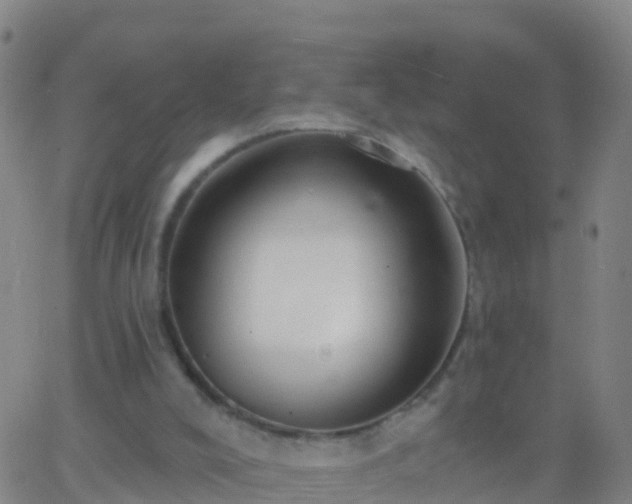 X0000063530008200601271912