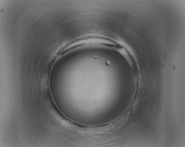 X0000063530009200601271912