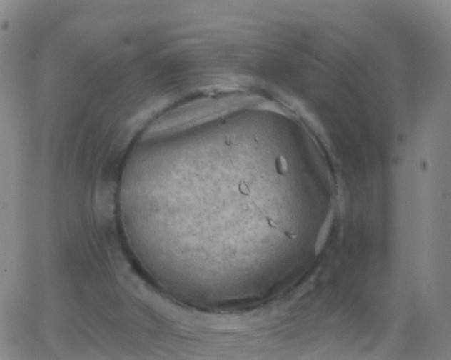 X0000063530010200601271912