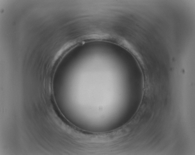 X0000063530011200601271912