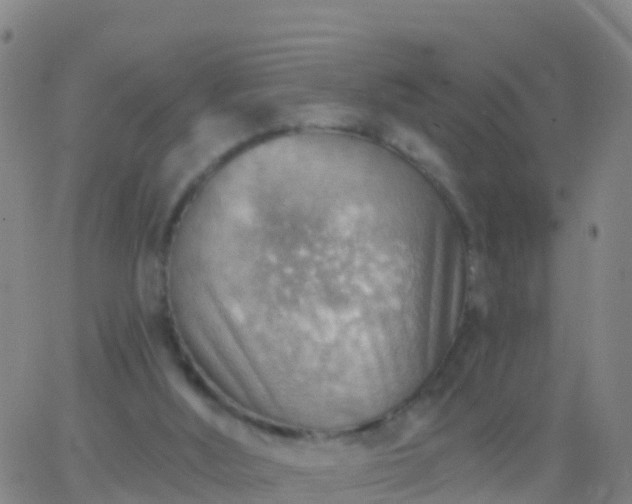 X0000063530012200601271912