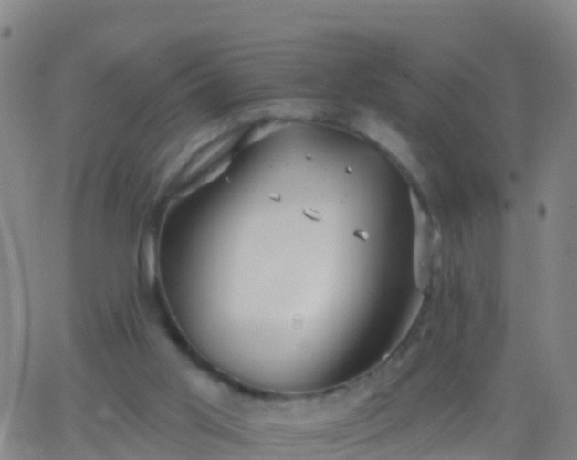 X0000063530013200601271912