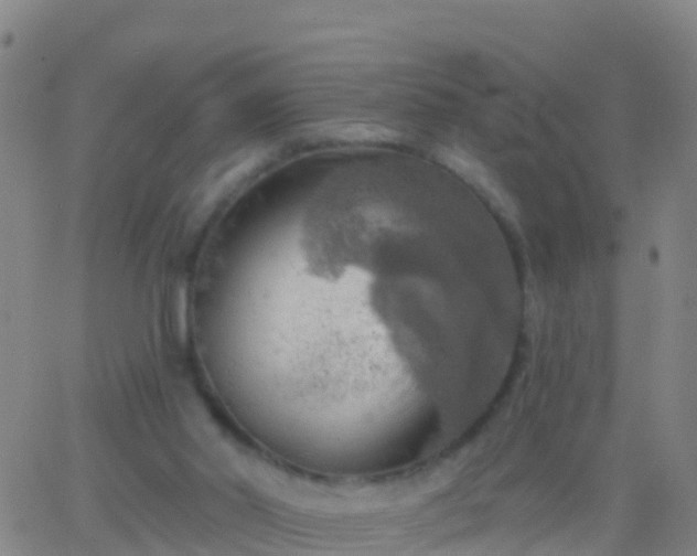 X0000063530014200601271912