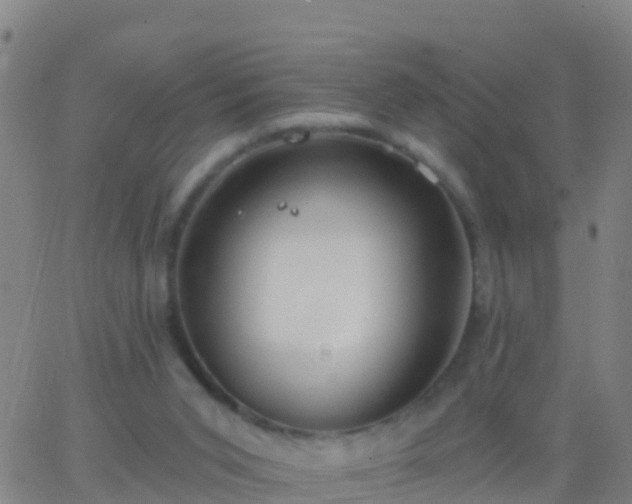 X0000063530015200601271912