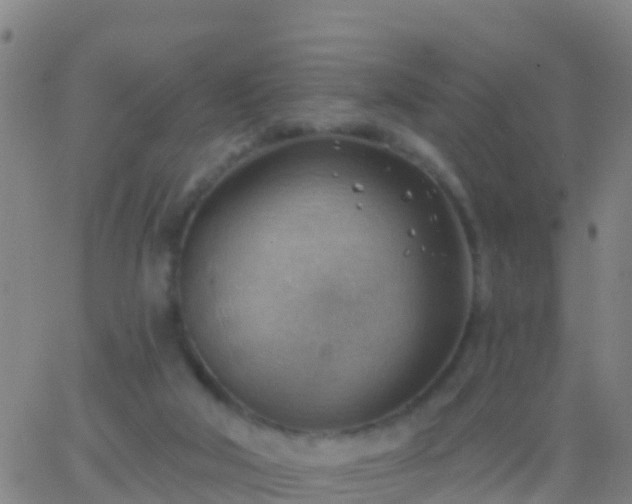 X0000063530018200601271912