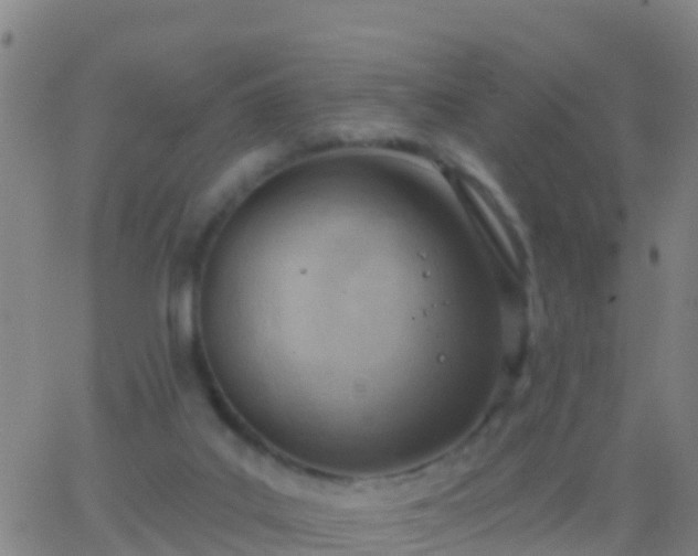 X0000063530019200601271912