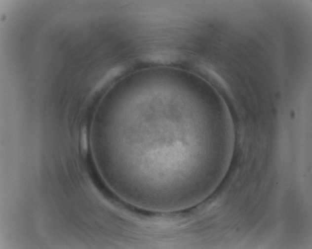 X0000063530020200601271912