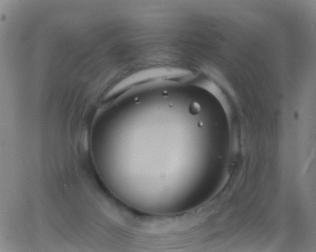 X0000063530021200601271912