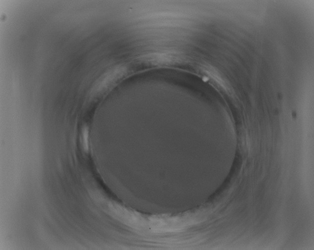 X0000063530022200601271912