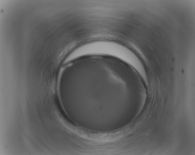 X0000063530023200601271912