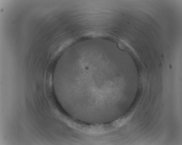 X0000063530024200601271912