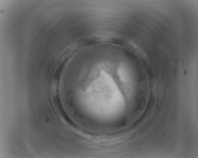 X0000063530026200601271912