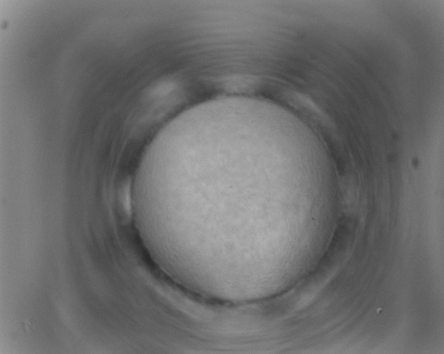 X0000063530028200601271912