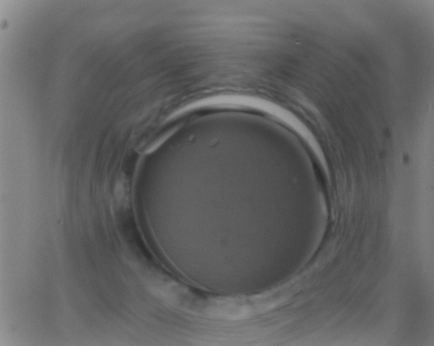 X0000063530029200601271912