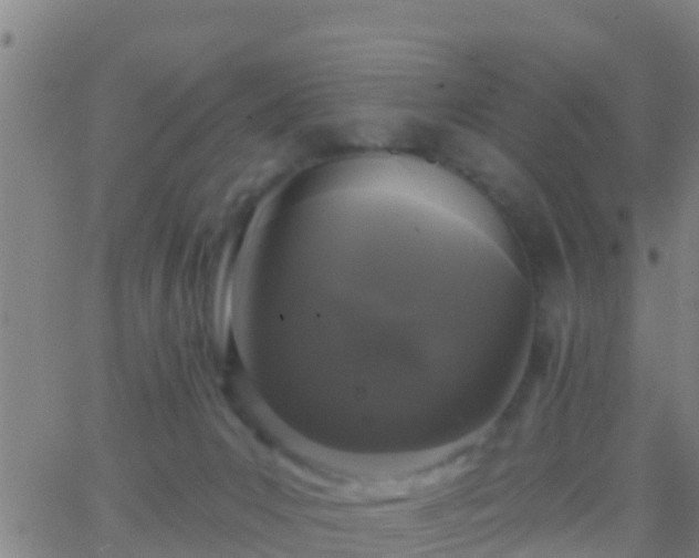 X0000063530031200601271912